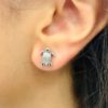 turtle silver earrings